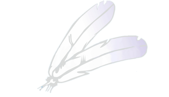 feathers3.png